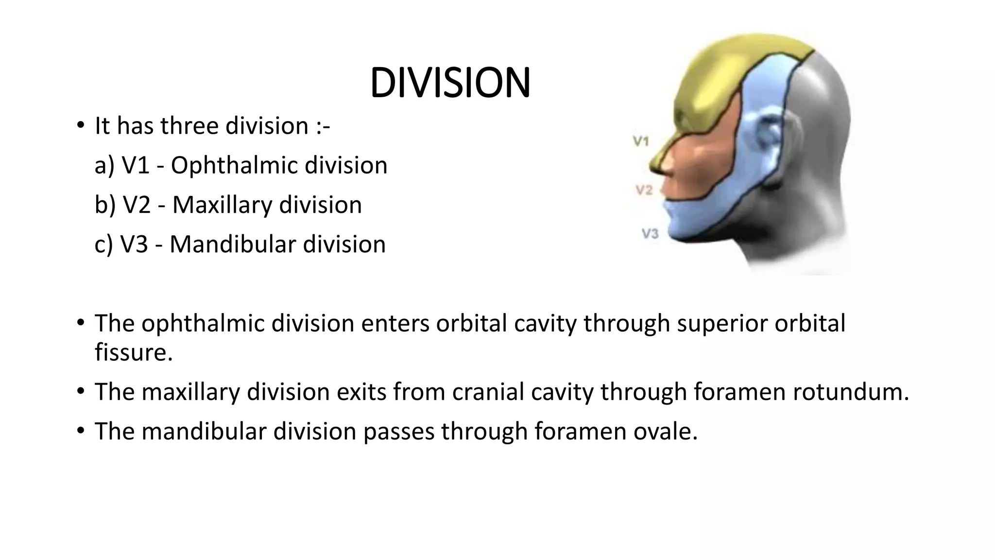 DIVISION
• It has three division :-
a) V1 - Ophthalmic division
b) V2 - Maxillary division
c) V3 - Mandibular division
• The ophthalmic division enters orbital cavity through superior orbital
fissure.
• The maxillary division exits from cranial cavity through foramen rotundum.
• The mandibular division passes through foramen ovale.
 