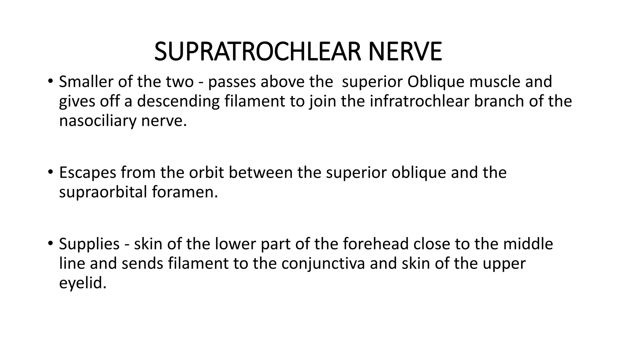SUPRATROCHLEAR NERVE
• Smaller of the two - passes above the superior Oblique muscle and
gives off a descending filament to join the infratrochlear branch of the
nasociliary nerve.
• Escapes from the orbit between the superior oblique and the
supraorbital foramen.
• Supplies - skin of the lower part of the forehead close to the middle
line and sends filament to the conjunctiva and skin of the upper
eyelid.
 