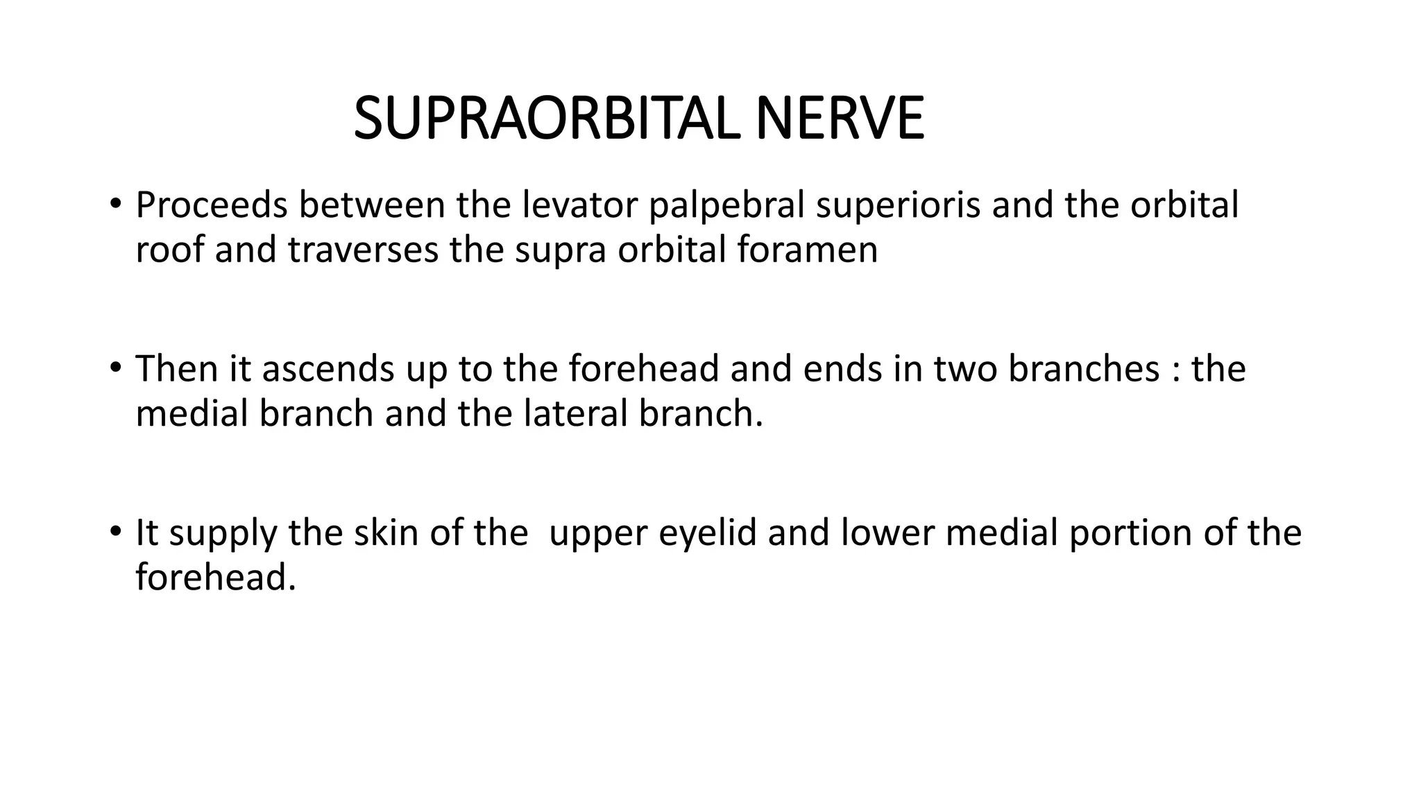 SUPRAORBITAL NERVE
• Proceeds between the levator palpebral superioris and the orbital
roof and traverses the supra orbital foramen
• Then it ascends up to the forehead and ends in two branches : the
medial branch and the lateral branch.
• It supply the skin of the upper eyelid and lower medial portion of the
forehead.
 