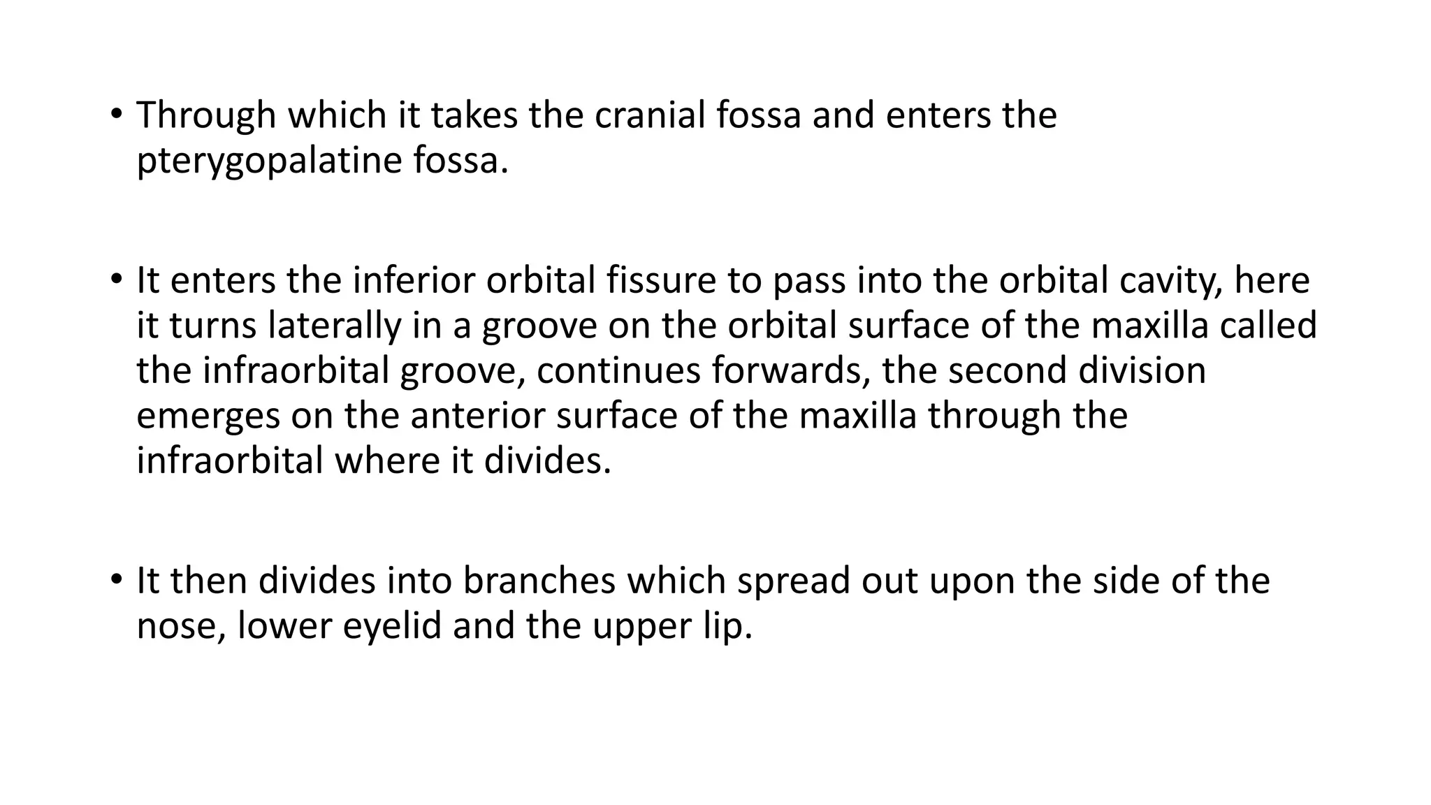 • Through which it takes the cranial fossa and enters the
pterygopalatine fossa.
• It enters the inferior orbital fissure to pass into the orbital cavity, here
it turns laterally in a groove on the orbital surface of the maxilla called
the infraorbital groove, continues forwards, the second division
emerges on the anterior surface of the maxilla through the
infraorbital where it divides.
• It then divides into branches which spread out upon the side of the
nose, lower eyelid and the upper lip.
 