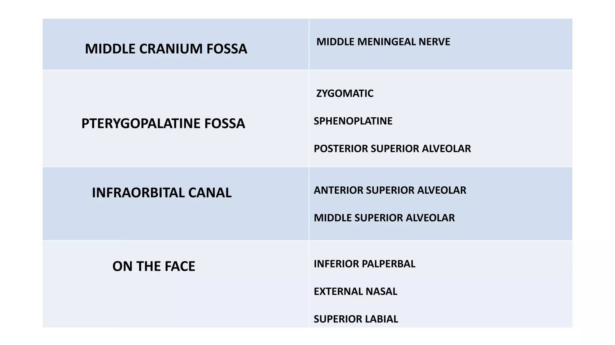 MIDDLE CRANIUM FOSSA
MIDDLE MENINGEAL NERVE
PTERYGOPALATINE FOSSA
ZYGOMATIC
SPHENOPLATINE
POSTERIOR SUPERIOR ALVEOLAR
INFRAORBITAL CANAL ANTERIOR SUPERIOR ALVEOLAR
MIDDLE SUPERIOR ALVEOLAR
ON THE FACE INFERIOR PALPERBAL
EXTERNAL NASAL
SUPERIOR LABIAL
 