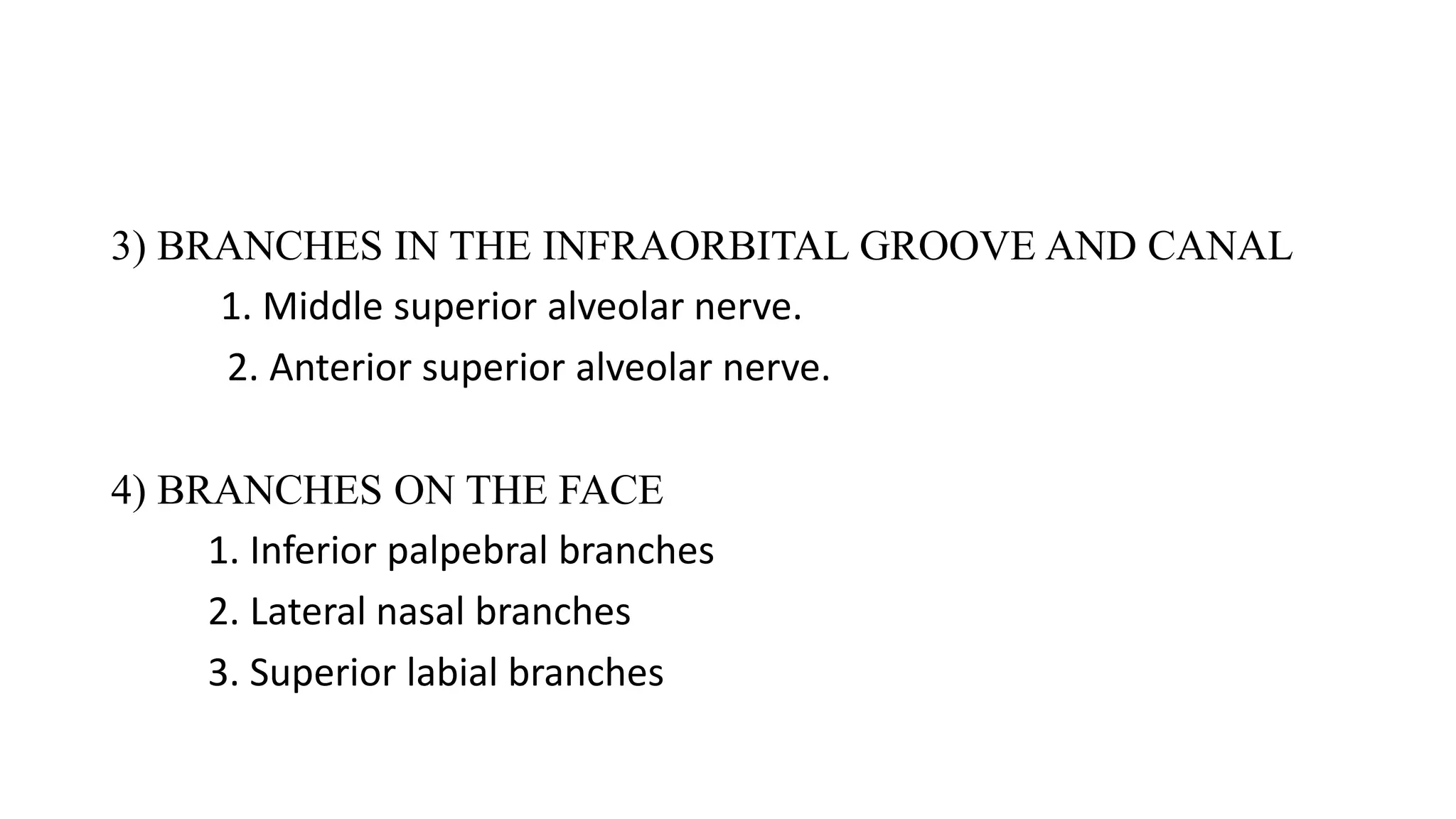 3) BRANCHES IN THE INFRAORBITAL GROOVE AND CANAL
1. Middle superior alveolar nerve.
2. Anterior superior alveolar nerve.
4) BRANCHES ON THE FACE
1. Inferior palpebral branches
2. Lateral nasal branches
3. Superior labial branches
 