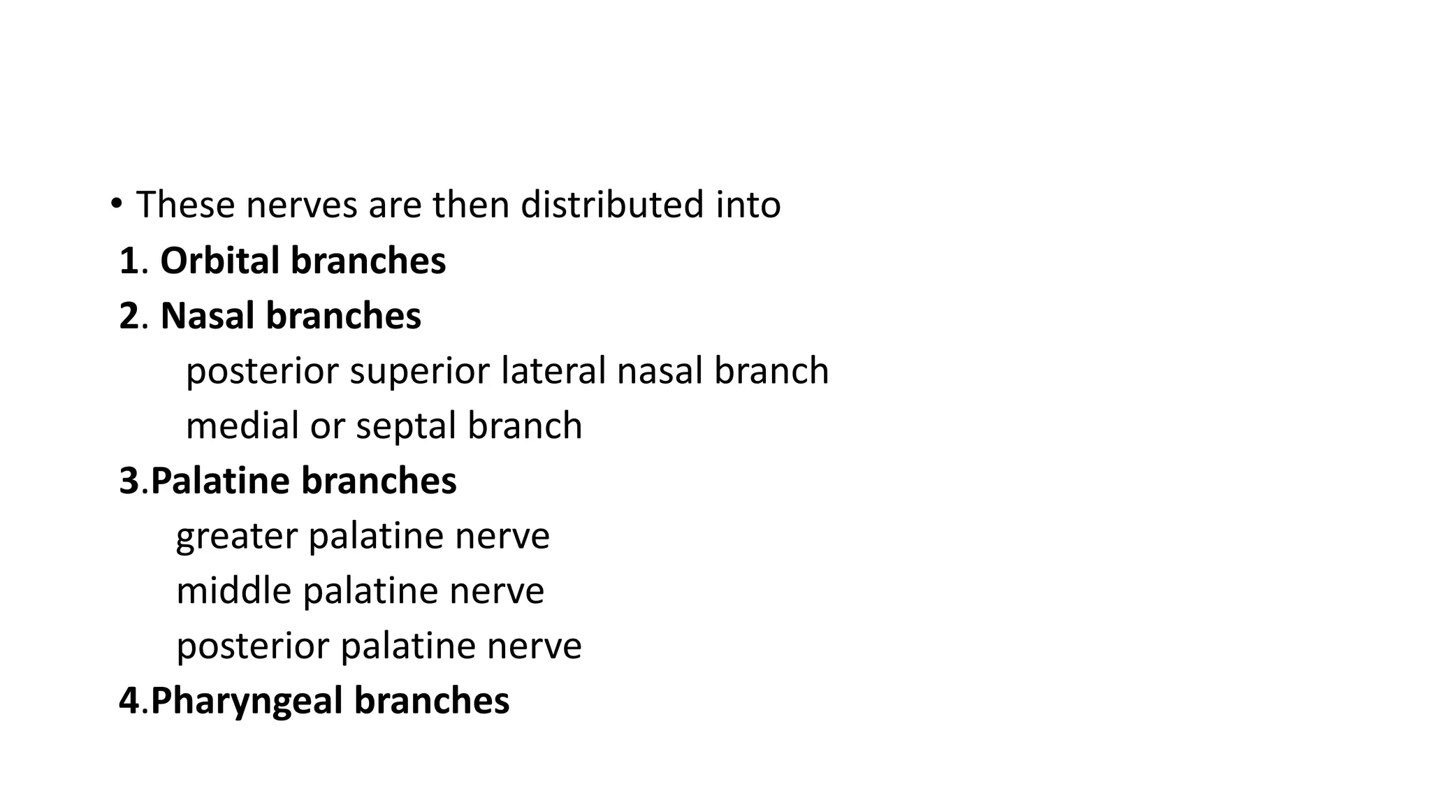 • These nerves are then distributed into
1. Orbital branches
2. Nasal branches
posterior superior lateral nasal branch
medial or septal branch
3.Palatine branches
greater palatine nerve
middle palatine nerve
posterior palatine nerve
4.Pharyngeal branches
 