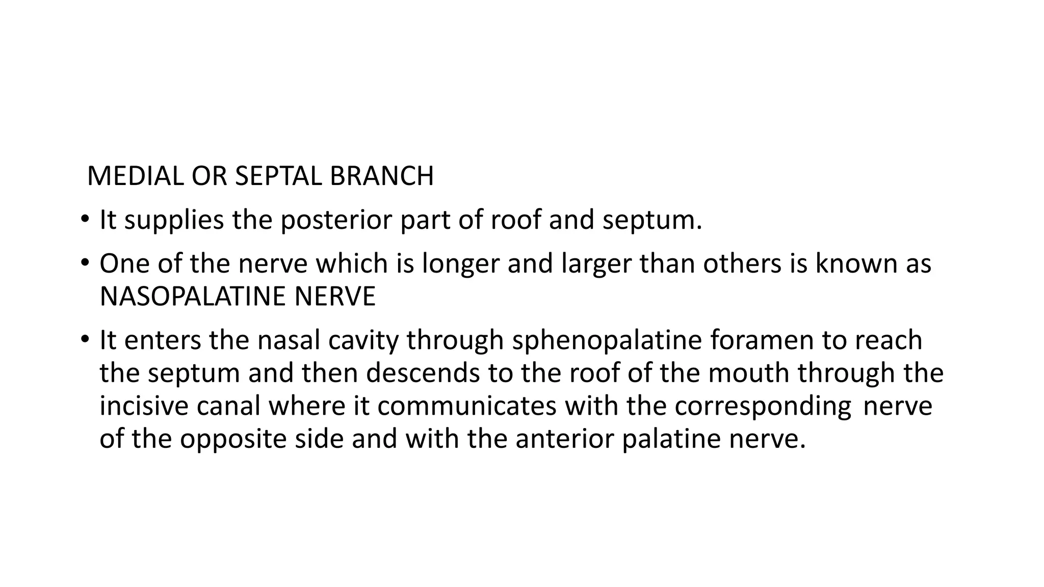 MEDIAL OR SEPTAL BRANCH
• It supplies the posterior part of roof and septum.
• One of the nerve which is longer and larger than others is known as
NASOPALATINE NERVE
• It enters the nasal cavity through sphenopalatine foramen to reach
the septum and then descends to the roof of the mouth through the
incisive canal where it communicates with the corresponding nerve
of the opposite side and with the anterior palatine nerve.
 
