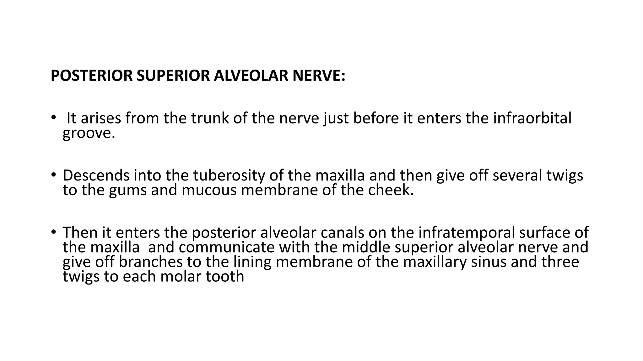 POSTERIOR SUPERIOR ALVEOLAR NERVE:
• It arises from the trunk of the nerve just before it enters the infraorbital
groove.
• Descends into the tuberosity of the maxilla and then give off several twigs
to the gums and mucous membrane of the cheek.
• Then it enters the posterior alveolar canals on the infratemporal surface of
the maxilla and communicate with the middle superior alveolar nerve and
give off branches to the lining membrane of the maxillary sinus and three
twigs to each molar tooth
 