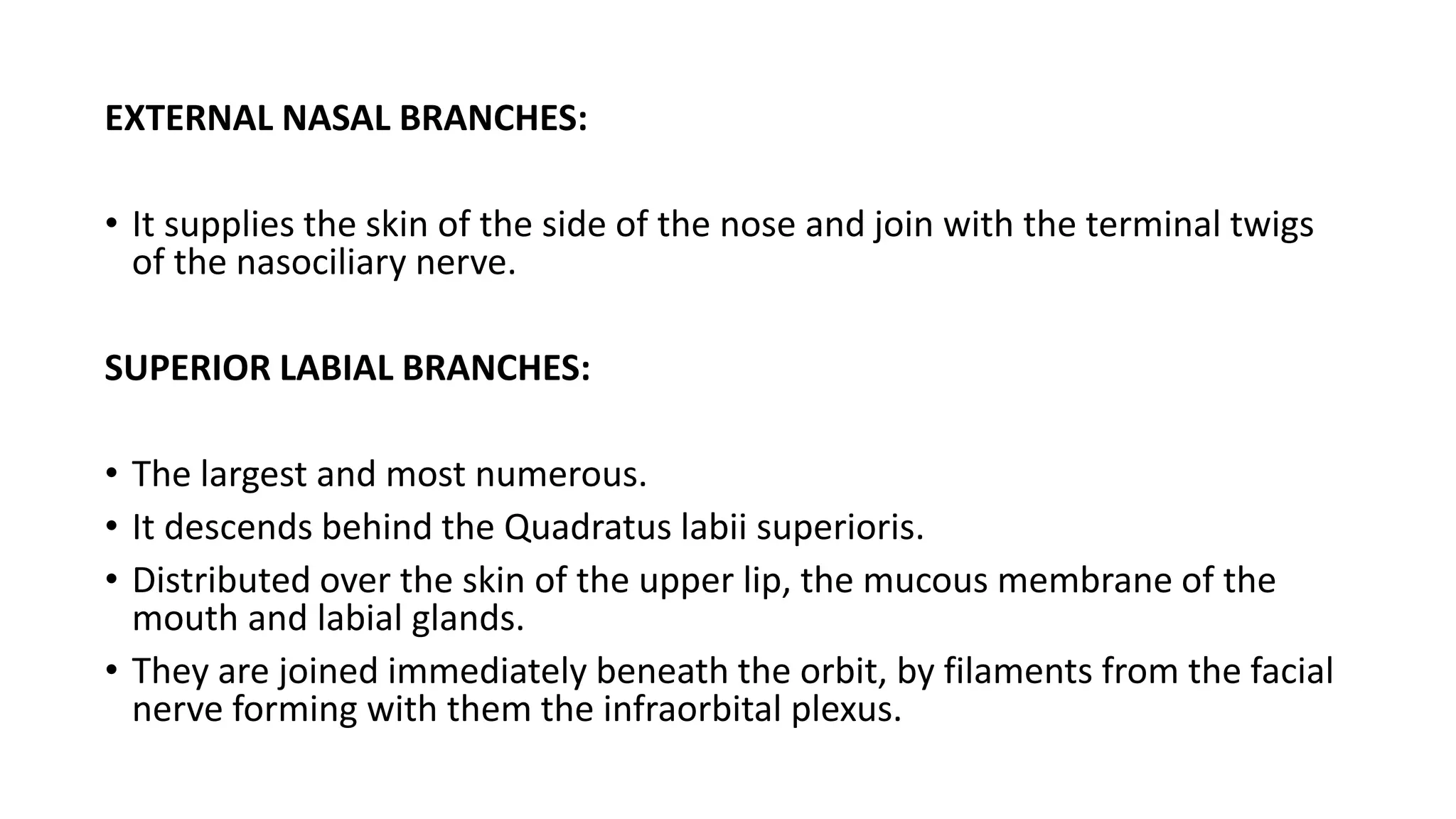 EXTERNAL NASAL BRANCHES:
• It supplies the skin of the side of the nose and join with the terminal twigs
of the nasociliary nerve.
SUPERIOR LABIAL BRANCHES:
• The largest and most numerous.
• It descends behind the Quadratus labii superioris.
• Distributed over the skin of the upper lip, the mucous membrane of the
mouth and labial glands.
• They are joined immediately beneath the orbit, by filaments from the facial
nerve forming with them the infraorbital plexus.
 