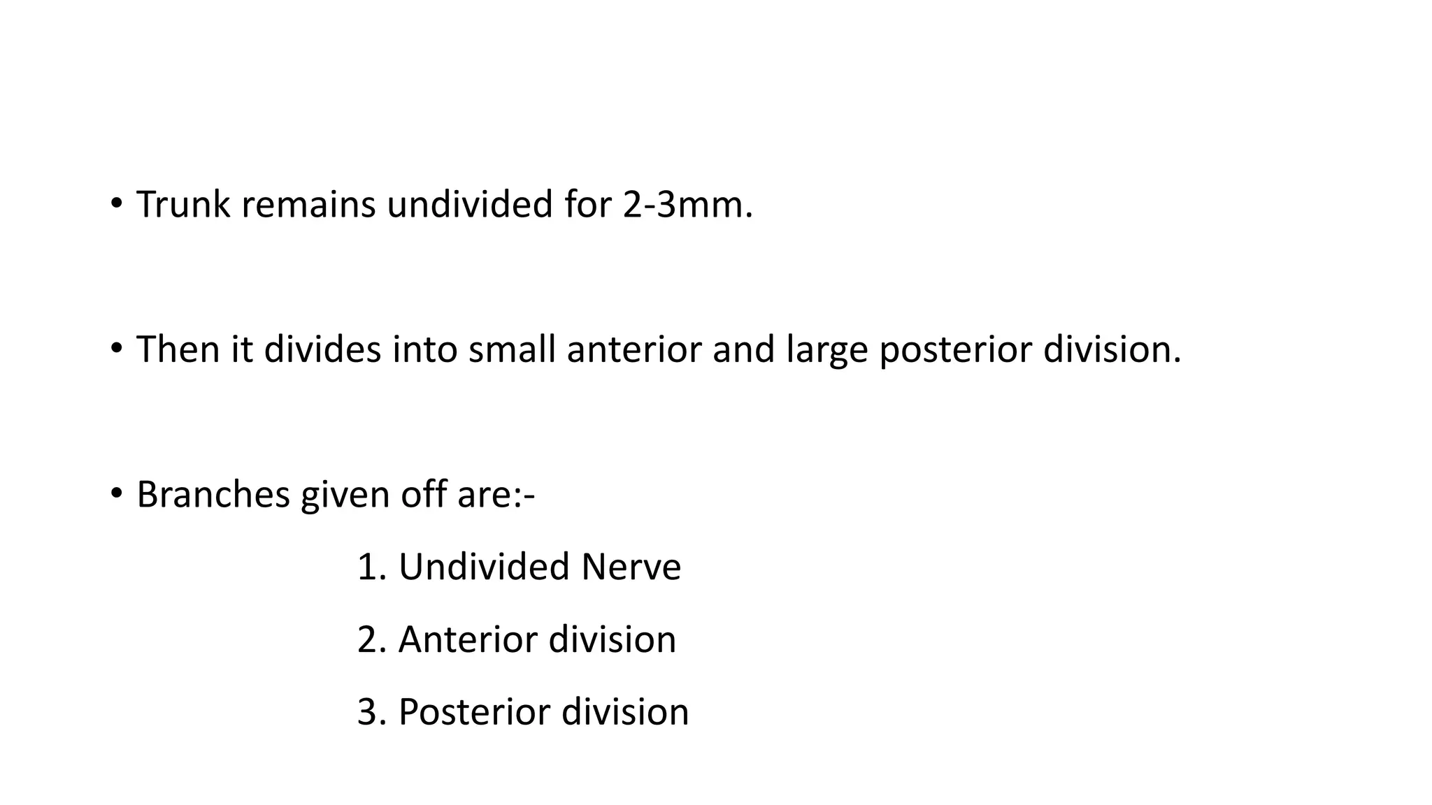 • Trunk remains undivided for 2-3mm.
• Then it divides into small anterior and large posterior division.
• Branches given off are:-
1. Undivided Nerve
2. Anterior division
3. Posterior division
 