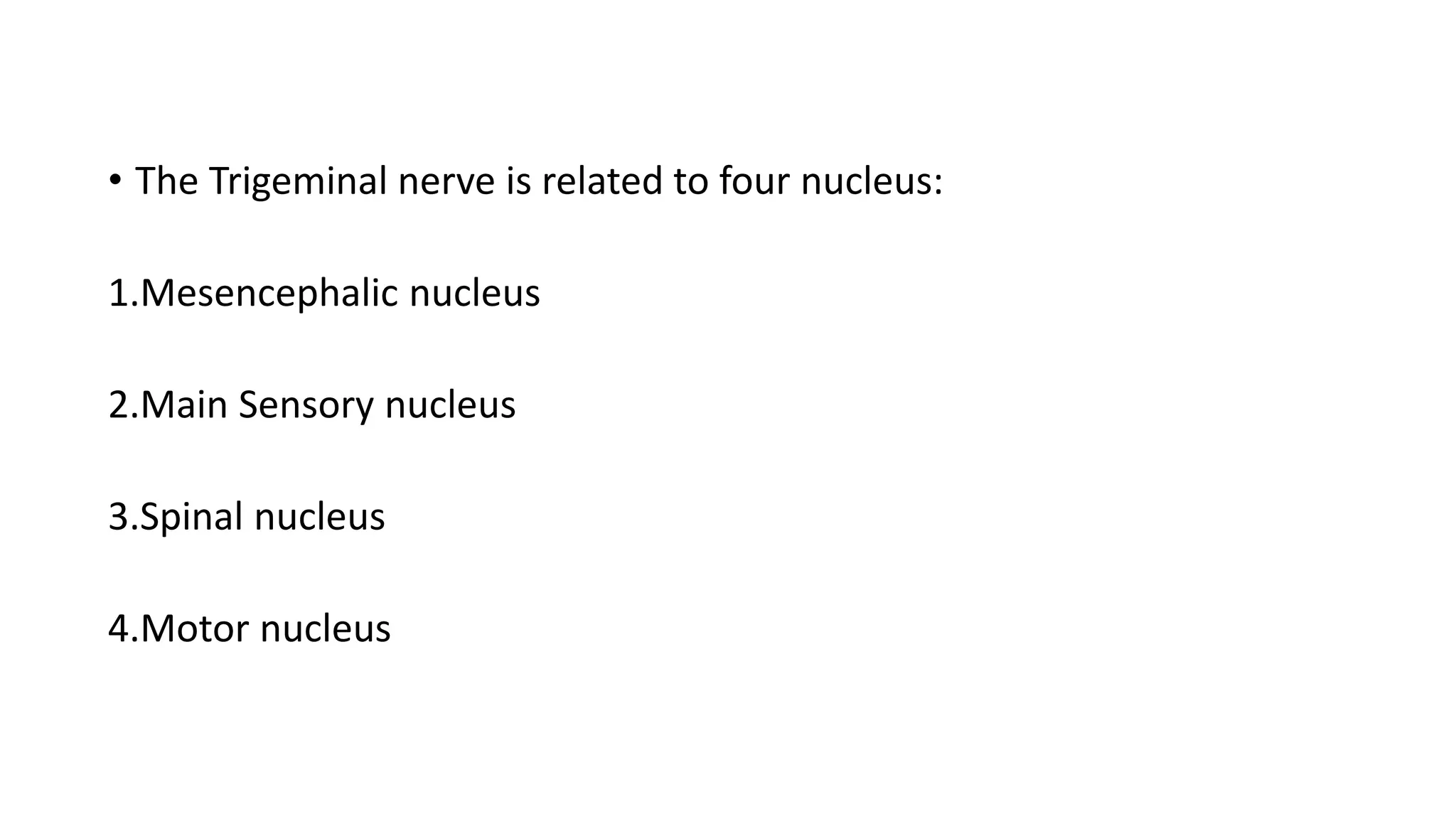 • The Trigeminal nerve is related to four nucleus:
1.Mesencephalic nucleus
2.Main Sensory nucleus
3.Spinal nucleus
4.Motor nucleus
 