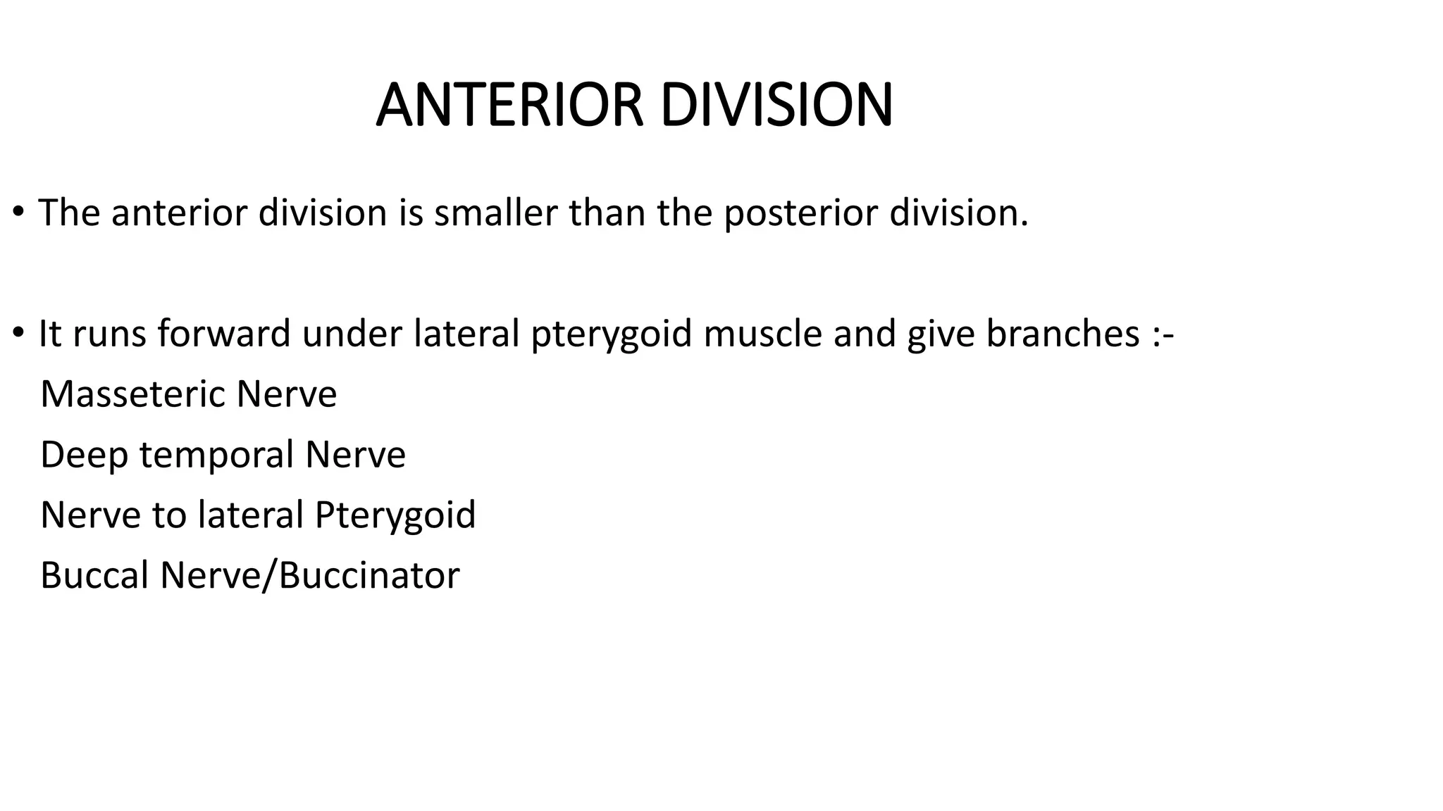 ANTERIOR DIVISION
• The anterior division is smaller than the posterior division.
• It runs forward under lateral pterygoid muscle and give branches :-
Masseteric Nerve
Deep temporal Nerve
Nerve to lateral Pterygoid
Buccal Nerve/Buccinator
 