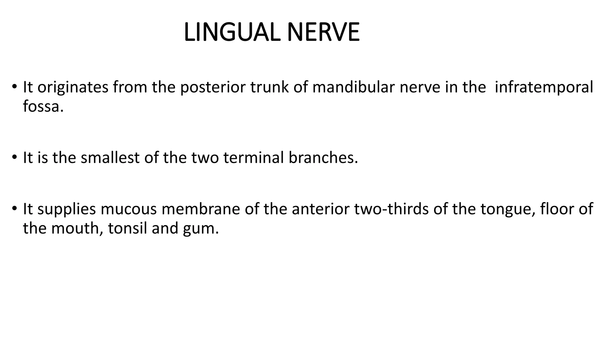 LINGUAL NERVE
• It originates from the posterior trunk of mandibular nerve in the infratemporal
fossa.
• It is the smallest of the two terminal branches.
• It supplies mucous membrane of the anterior two-thirds of the tongue, floor of
the mouth, tonsil and gum.
 