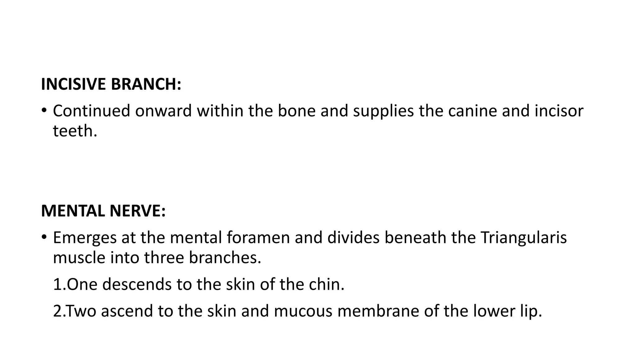 INCISIVE BRANCH:
• Continued onward within the bone and supplies the canine and incisor
teeth.
MENTAL NERVE:
• Emerges at the mental foramen and divides beneath the Triangularis
muscle into three branches.
1.One descends to the skin of the chin.
2.Two ascend to the skin and mucous membrane of the lower lip.
 
