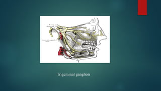 Anatomy and functions of trigeminal nerve.pptx