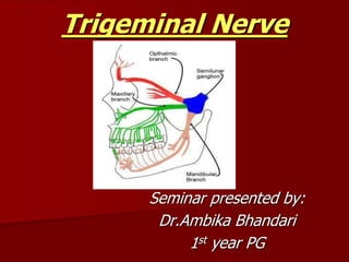 Trigeminal Nerve
Seminar presented by:
Dr.Ambika Bhandari
1st year PG
 