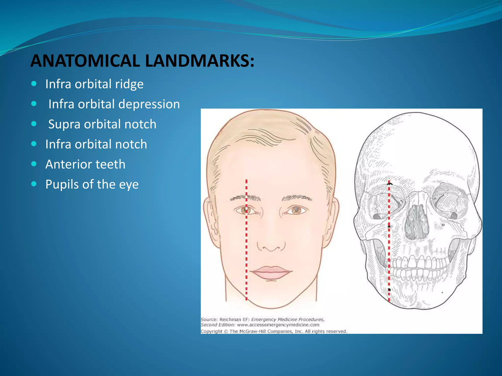 ANATOMICAL LANDMARKS:
 Infra orbital ridge
 Infra orbital depression
 Supra orbital notch
 Infra orbital notch
 Anterior teeth
 Pupils of the eye
 