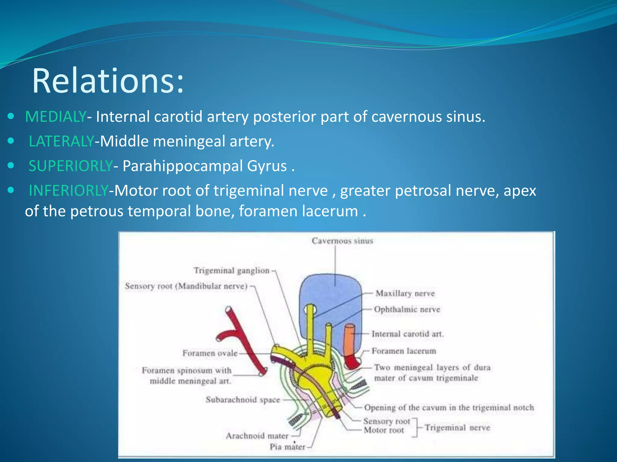 Relations:
 MEDIALY- Internal carotid artery posterior part of cavernous sinus.
 LATERALY-Middle meningeal artery.
 SUPERIORLY- Parahippocampal Gyrus .
 INFERIORLY-Motor root of trigeminal nerve , greater petrosal nerve, apex
of the petrous temporal bone, foramen lacerum .
 
