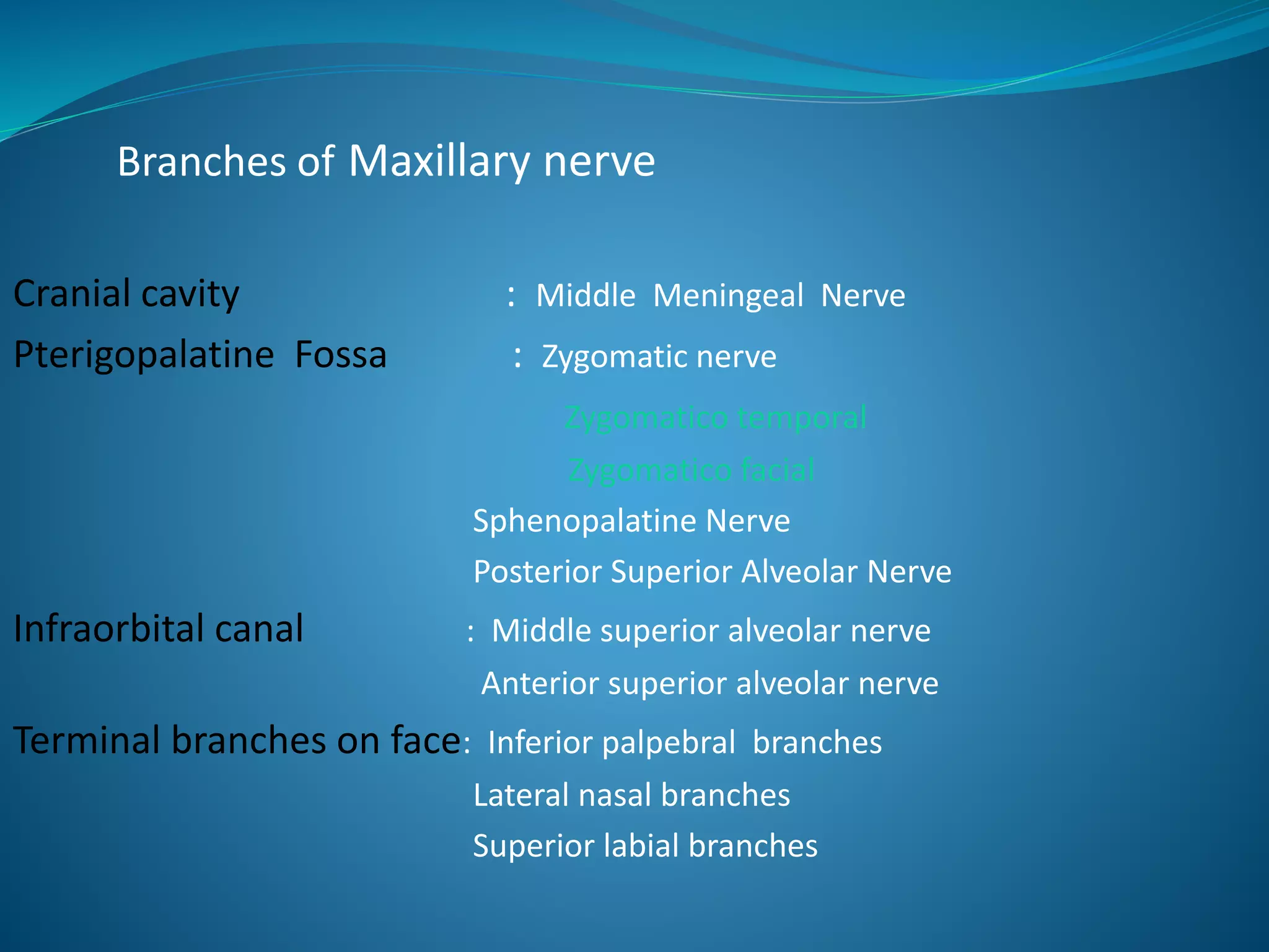 Branches of Maxillary nerve
Cranial cavity : Middle Meningeal Nerve
Pterigopalatine Fossa : Zygomatic nerve
Zygomatico temporal
Zygomatico facial
Sphenopalatine Nerve
Posterior Superior Alveolar Nerve
Infraorbital canal : Middle superior alveolar nerve
Anterior superior alveolar nerve
Terminal branches on face: Inferior palpebral branches
Lateral nasal branches
Superior labial branches
 