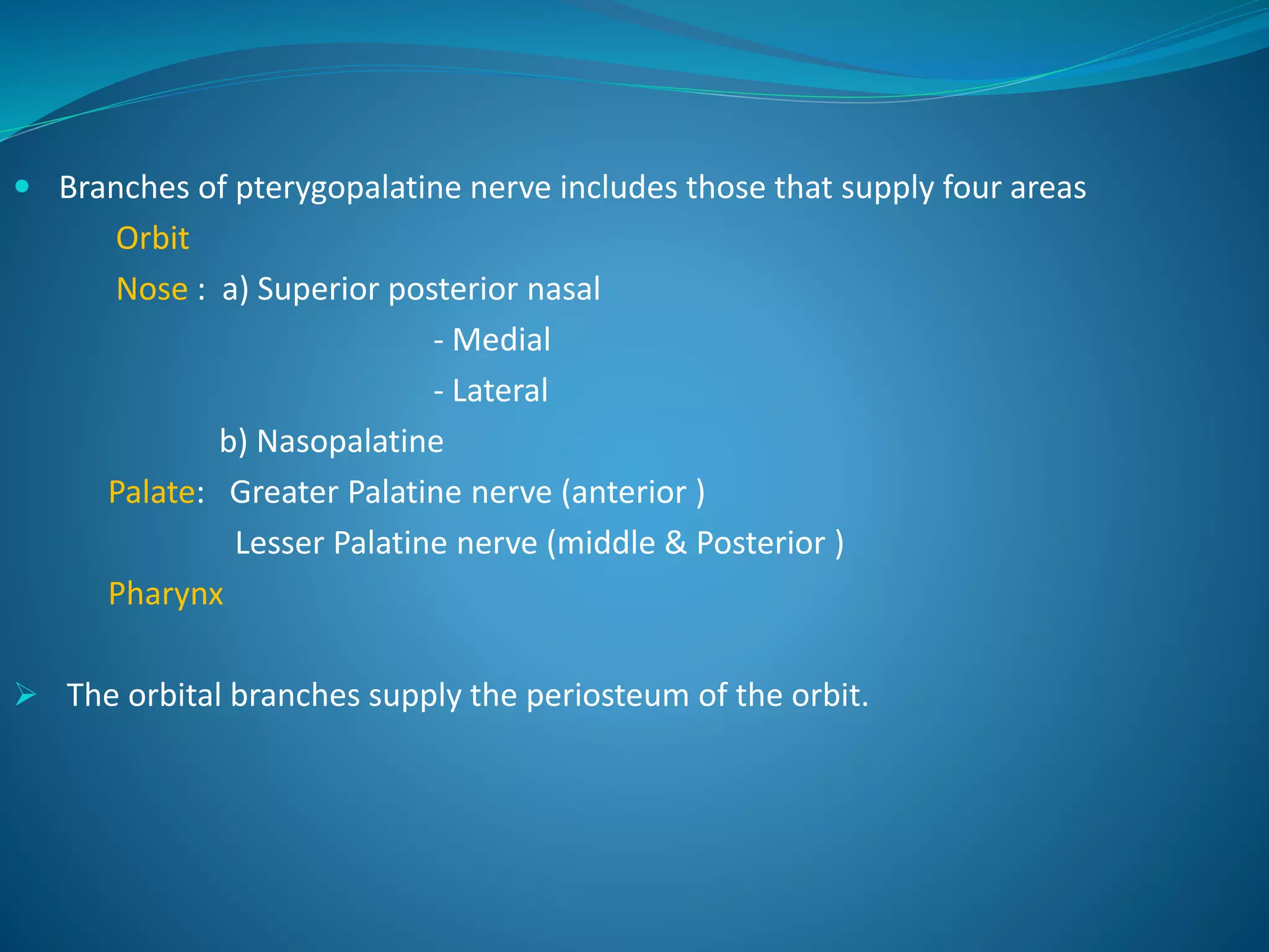  Branches of pterygopalatine nerve includes those that supply four areas
Orbit
Nose : a) Superior posterior nasal
- Medial
- Lateral
b) Nasopalatine
Palate: Greater Palatine nerve (anterior )
Lesser Palatine nerve (middle & Posterior )
Pharynx
 The orbital branches supply the periosteum of the orbit.
 