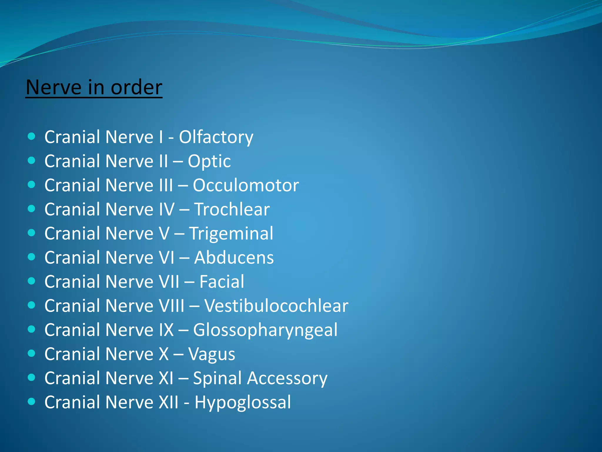 Nerve in order
 Cranial Nerve I - Olfactory
 Cranial Nerve II – Optic
 Cranial Nerve III – Occulomotor
 Cranial Nerve IV – Trochlear
 Cranial Nerve V – Trigeminal
 Cranial Nerve VI – Abducens
 Cranial Nerve VII – Facial
 Cranial Nerve VIII – Vestibulocochlear
 Cranial Nerve IX – Glossopharyngeal
 Cranial Nerve X – Vagus
 Cranial Nerve XI – Spinal Accessory
 Cranial Nerve XII - Hypoglossal
 