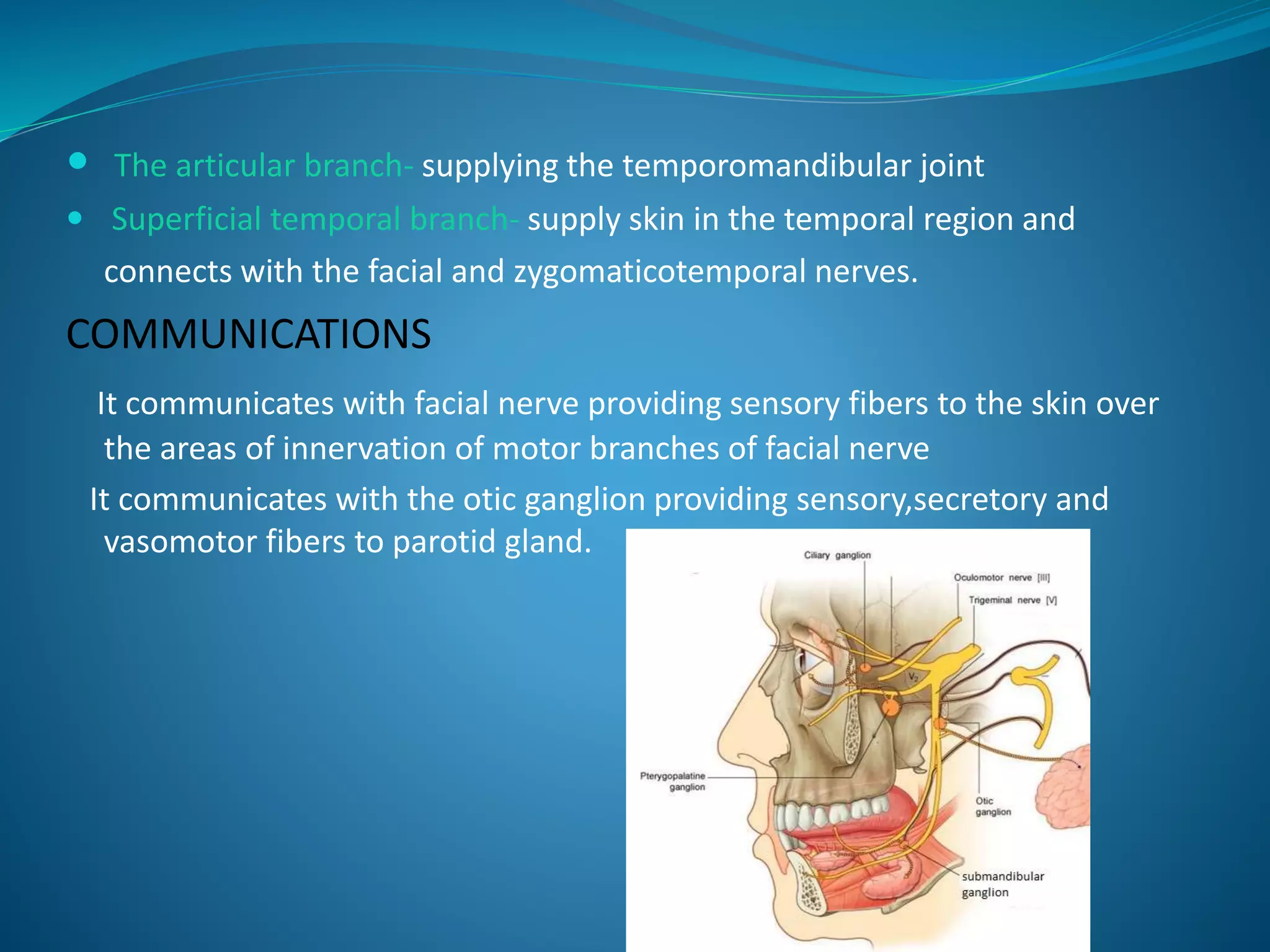  The articular branch- supplying the temporomandibular joint
 Superficial temporal branch- supply skin in the temporal region and
connects with the facial and zygomaticotemporal nerves.
COMMUNICATIONS
It communicates with facial nerve providing sensory fibers to the skin over
the areas of innervation of motor branches of facial nerve
It communicates with the otic ganglion providing sensory,secretory and
vasomotor fibers to parotid gland.
 
