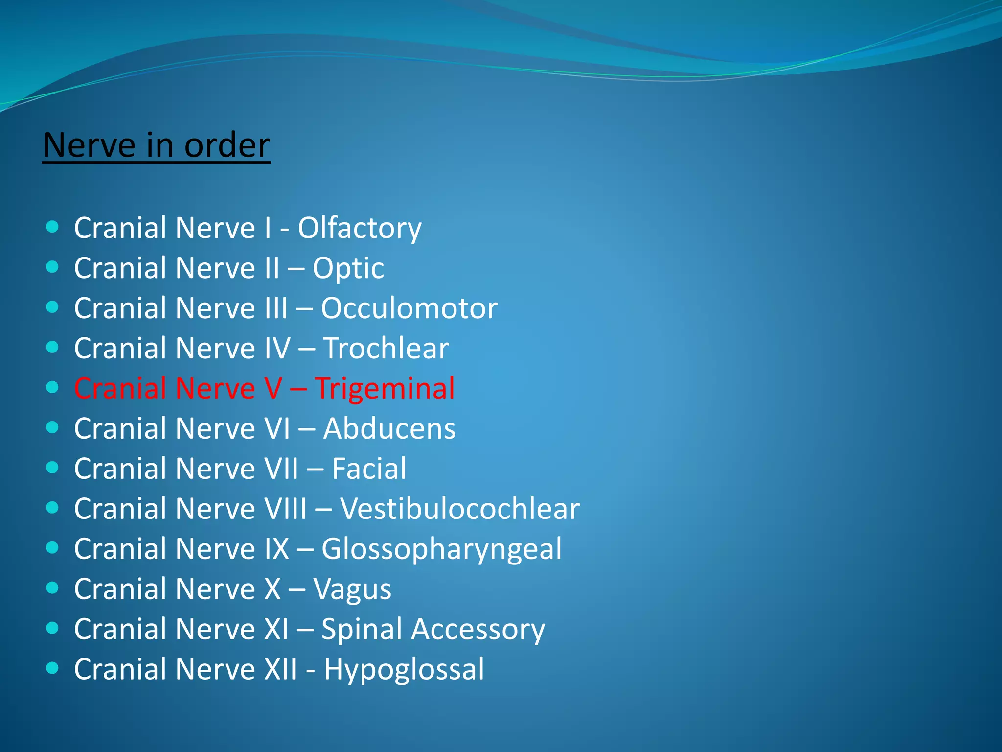Nerve in order
 Cranial Nerve I - Olfactory
 Cranial Nerve II – Optic
 Cranial Nerve III – Occulomotor
 Cranial Nerve IV – Trochlear
 Cranial Nerve V – Trigeminal
 Cranial Nerve VI – Abducens
 Cranial Nerve VII – Facial
 Cranial Nerve VIII – Vestibulocochlear
 Cranial Nerve IX – Glossopharyngeal
 Cranial Nerve X – Vagus
 Cranial Nerve XI – Spinal Accessory
 Cranial Nerve XII - Hypoglossal
 