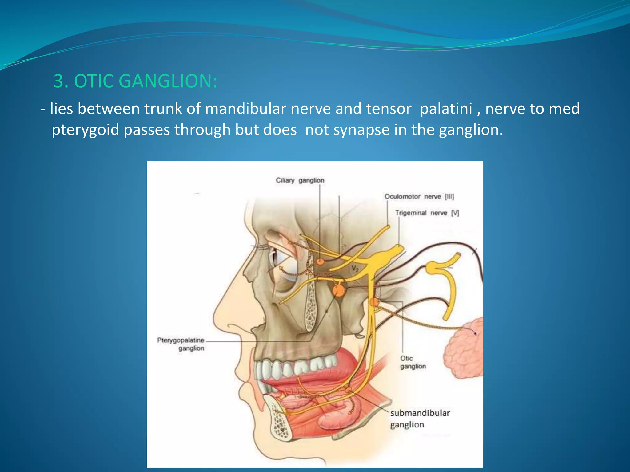 3. OTIC GANGLION:
- lies between trunk of mandibular nerve and tensor palatini , nerve to med
pterygoid passes through but does not synapse in the ganglion.
 