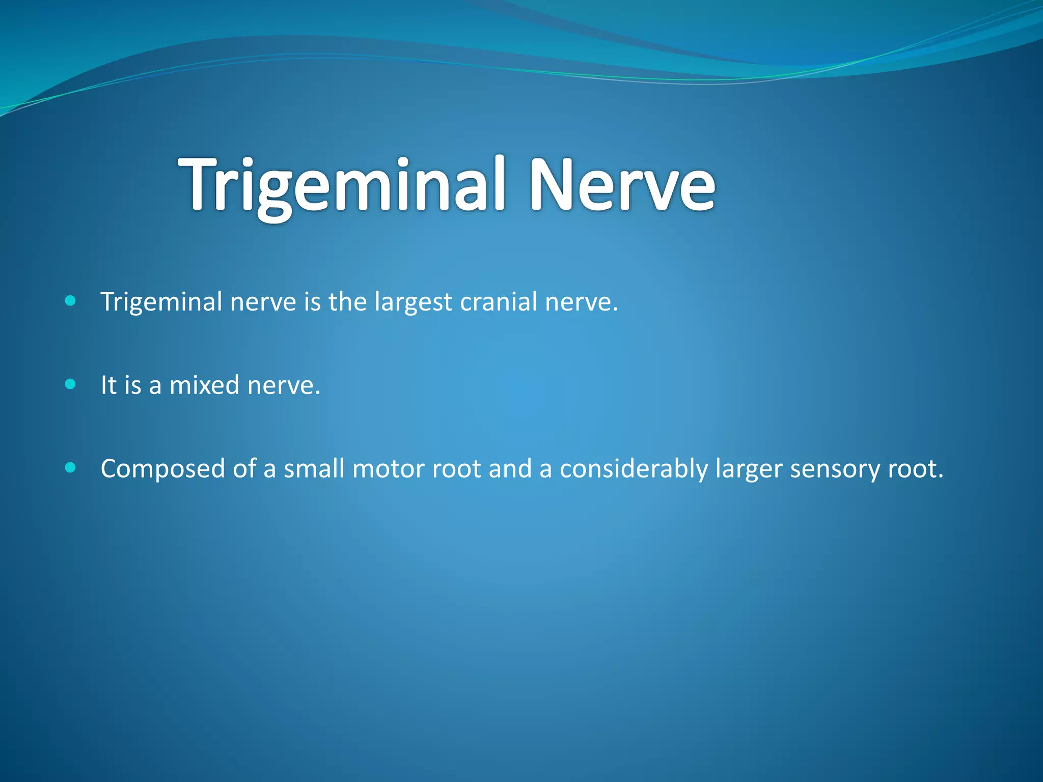  Trigeminal nerve is the largest cranial nerve.
 It is a mixed nerve.
 Composed of a small motor root and a considerably larger sensory root.
 