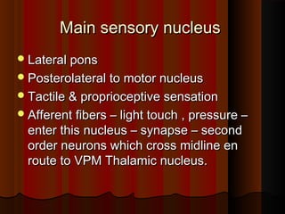 Main sensory nucleusMain sensory nucleus
Lateral ponsLateral pons
Posterolateral to motor nucleusPosterolateral to motor nucleus
Tactile & proprioceptive sensationTactile & proprioceptive sensation
Afferent fibers – light touch , pressure –Afferent fibers – light touch , pressure –
enter this nucleus – synapse – secondenter this nucleus – synapse – second
order neurons which cross midline enorder neurons which cross midline en
route to VPM Thalamic nucleus.route to VPM Thalamic nucleus.
 