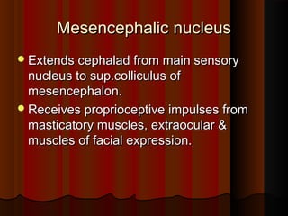 Mesencephalic nucleusMesencephalic nucleus
Extends cephalad from main sensoryExtends cephalad from main sensory
nucleus to sup.colliculus ofnucleus to sup.colliculus of
mesencephalon.mesencephalon.
Receives proprioceptive impulses fromReceives proprioceptive impulses from
masticatory muscles, extraocular &masticatory muscles, extraocular &
muscles of facial expression.muscles of facial expression.
 