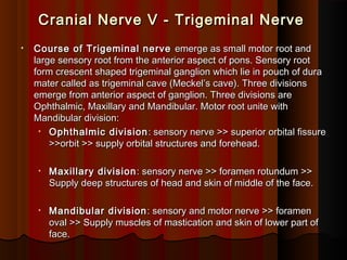 Cranial Nerve V - Trigeminal NerveCranial Nerve V - Trigeminal Nerve
• Course of Trigeminal nerveCourse of Trigeminal nerve emerge as small motor root andemerge as small motor root and
large sensory root from the anterior aspect of pons. Sensory rootlarge sensory root from the anterior aspect of pons. Sensory root
form crescent shaped trigeminal ganglion which lie in pouch of duraform crescent shaped trigeminal ganglion which lie in pouch of dura
mater called as trigeminal cave (Meckel’s cave). Three divisionsmater called as trigeminal cave (Meckel’s cave). Three divisions
emerge from anterior aspect of ganglion. Three divisions areemerge from anterior aspect of ganglion. Three divisions are
Ophthalmic, Maxillary and Mandibular. Motor root unite withOphthalmic, Maxillary and Mandibular. Motor root unite with
Mandibular division:Mandibular division:
• Ophthalmic divisionOphthalmic division : sensory nerve >> superior orbital fissure: sensory nerve >> superior orbital fissure
>>orbit >> supply orbital structures and forehead.>>orbit >> supply orbital structures and forehead.
• Maxillary divisionMaxillary division : sensory nerve >> foramen rotundum >>: sensory nerve >> foramen rotundum >>
Supply deep structures of head and skin of middle of the face.Supply deep structures of head and skin of middle of the face.
• Mandibular divisionMandibular division : sensory and motor nerve >> foramen: sensory and motor nerve >> foramen
oval >> Supply muscles of mastication and skin of lower part ofoval >> Supply muscles of mastication and skin of lower part of
face.face.
 