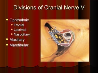 Divisions of Cranial Nerve VDivisions of Cranial Nerve V
 OphthalmicOphthalmic
 FrontalFrontal
 LacrimalLacrimal
 NasociliaryNasociliary
 MaxillaryMaxillary
 MandibularMandibular
 
