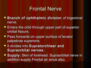 Frontal NerveFrontal Nerve
 Branch of ophthalmic divisionBranch of ophthalmic division of trigeminalof trigeminal
nerve.nerve.
 Enters the orbit through upper part of superiorEnters the orbit through upper part of superior
orbital fissure.orbital fissure.
 Pass forwards on upper surface of levatorPass forwards on upper surface of levator
palpebrae superioris.palpebrae superioris.
 It divides intoIt divides into Supratorchlear andSupratorchlear and
Supraorbital nerves.Supraorbital nerves.
 SupplySupply: Skin of forehead. Supraorbital nerve in: Skin of forehead. Supraorbital nerve in
addition supply Frontal air sinus also.addition supply Frontal air sinus also.
 