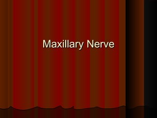 Maxillary NerveMaxillary Nerve
 