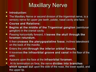 Maxillary NerveMaxillary Nerve
 Introduction:Introduction:
 The Maxillary Nerve or second division of the trigeminal nerve, is aThe Maxillary Nerve or second division of the trigeminal nerve, is a
sensory nerve for upper jaw teeth, palate, nasal cavity and face.sensory nerve for upper jaw teeth, palate, nasal cavity and face.
 Course and Relations:Course and Relations:
 Begins at the middle of the Trigeminal ganglionBegins at the middle of the Trigeminal ganglion (semilunar(semilunar
ganglion) in the cranial cavity.ganglion) in the cranial cavity.
 Passing horizontally forward, itPassing horizontally forward, it leaves the skull through theleaves the skull through the
foramen rotundum.foramen rotundum.
 It thenIt then crosses the pterygopalatine fossacrosses the pterygopalatine fossa , inclines lateralward, inclines lateralward
on the back of the maxilla.on the back of the maxilla.
 Enters the orbitEnters the orbit through the inferior orbital fissure.through the inferior orbital fissure.
 It traversesIt traverses the infraorbital groove and canalthe infraorbital groove and canal in the floor of thein the floor of the
orbit.orbit.
 Appears upon the face at theAppears upon the face at the infraorbital forameninfraorbital foramen ..
 At its termination on face, the nerveAt its termination on face, the nerve divides into branchesdivides into branches
which spread outwhich spread out upon the side of the nose, the lower eyelid, andupon the side of the nose, the lower eyelid, and
the upper lip.the upper lip.
 