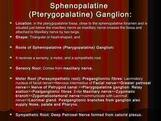 SphenopalatineSphenopalatine
(Pterygopalatine) Ganglion:(Pterygopalatine) Ganglion:
 LocationLocation: in the pterygopalatine fossa, close to the sphenopalatine foramen and is: in the pterygopalatine fossa, close to the sphenopalatine foramen and is
situated just below the maxillary nerve as maxillary nerve crosses the fossa andsituated just below the maxillary nerve as maxillary nerve crosses the fossa and
attached to Maxillary nerve by two twigs.attached to Maxillary nerve by two twigs.
 Shape:Shape: Triangular or heart-shaped, and.Triangular or heart-shaped, and.
  
 Roots of Sphenopalatine (Pterygopalatine) Ganglion:Roots of Sphenopalatine (Pterygopalatine) Ganglion:
 It receives a sensory, a motor, and a sympathetic root.It receives a sensory, a motor, and a sympathetic root.
 Sensory RootSensory Root: Comes from: Comes from maxillary nerve.maxillary nerve.
 Motor Root (Parasympathetic root):Motor Root (Parasympathetic root): Preganglioninc fibresPreganglioninc fibres : Lacrimatory: Lacrimatory
nucleus of facial nerve>>Nervous intermedius ofnucleus of facial nerve>>Nervous intermedius of Facial nerveFacial nerve>>>>Greater petrosalGreater petrosal
nervenerve>>>> Nerve of Petrygoid canalNerve of Petrygoid canal >>>>Pterygopalatine ganglion: RelayPterygopalatine ganglion: Relay
stationstation>>>>Postganglionic fibresPostganglionic fibres: Enter: Enter Maxillary nerveMaxillary nerve>>>>ZygomaticZygomatic
branchbranch>>>>Zygomaticotemoral nerveZygomaticotemoral nerve>>communicate with Lacrimal>>communicate with Lacrimal
nerve>>nerve>>Lacrimal gland. Postganglionic branches from ganglion alsoLacrimal gland. Postganglionic branches from ganglion also
supply Nose, palate and Pharynx.supply Nose, palate and Pharynx.
 Sympathetic Root: Deep Petrosal Nerve formed from catorid plexus.Sympathetic Root: Deep Petrosal Nerve formed from catorid plexus.
 