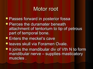 Motor rootMotor root
Passes forward in posterior fossaPasses forward in posterior fossa
Pierces the duramater beneathPierces the duramater beneath
attachment of tentorium to tip of petrousattachment of tentorium to tip of petrous
part of temporal bone.part of temporal bone.
Enters the meckel’s caveEnters the meckel’s cave
leaves skull via Foramen Ovale.leaves skull via Foramen Ovale.
It joins the mandibular div of Vth N to formIt joins the mandibular div of Vth N to form
mandibular nerve – supplies masticatorymandibular nerve – supplies masticatory
muscles .muscles .
 