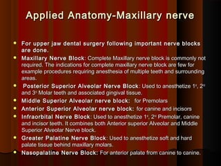 Applied Anatomy-Maxillary nerveApplied Anatomy-Maxillary nerve
 For upper jaw dental surgery following important nerve blocksFor upper jaw dental surgery following important nerve blocks
are done.are done.
 Maxillary Nerve BlockMaxillary Nerve Block : Complete Maxillary nerve block is commonly not: Complete Maxillary nerve block is commonly not
required. The indications for complete maxillary nerve block are few forrequired. The indications for complete maxillary nerve block are few for
example procedures requiring anesthesia of multiple teeth and surroundingexample procedures requiring anesthesia of multiple teeth and surrounding
areas.areas.
 Posterior Superior Alveolar Nerve BlockPosterior Superior Alveolar Nerve Block : Used to anesthetize 1: Used to anesthetize 1stst
, 2, 2ndnd
and 3and 3rdrd
Molar teeth and associated gingival tissue.Molar teeth and associated gingival tissue.
 Middle Superior Alveolar nerve block:Middle Superior Alveolar nerve block: for Premolarsfor Premolars
 Anterior Superior Alveolar nerve block:Anterior Superior Alveolar nerve block: for canine and incisorsfor canine and incisors
 Infraorbital Nerve BlockInfraorbital Nerve Block : Used to anesthetize 1: Used to anesthetize 1stst
, 2, 2ndnd
Premolar, caninePremolar, canine
and incisor teeth. It combines both Anterior superior Alveolar and Middleand incisor teeth. It combines both Anterior superior Alveolar and Middle
Superior Alveolar Nerve block.Superior Alveolar Nerve block.
 Greater Palatine Nerve BlockGreater Palatine Nerve Block : Used to anesthetize soft and hard: Used to anesthetize soft and hard
palate tissue behind maxillary molars.palate tissue behind maxillary molars.
 Nasopalatine Nerve Block:Nasopalatine Nerve Block: For anterior palate from canine to canine.For anterior palate from canine to canine.
 
