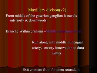 Maxillary divison(v2)Maxillary divison(v2)
From middle of the gaserion ganglion it travelsFrom middle of the gaserion ganglion it travels
anteriorly & downwordsanteriorly & downwords
Branche Within cranium –Branche Within cranium –Middle minengial nerveMiddle minengial nerve
Run along with middle minengialRun along with middle minengial
artery, sensory innervation to duraartery, sensory innervation to dura
matter.matter.
Exit cranium from foramen rotundumExit cranium from foramen rotundum
4444
 
