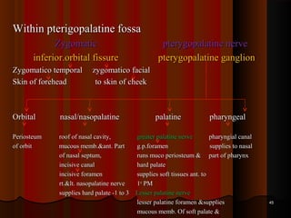 Within pterigopalatine fossaWithin pterigopalatine fossa
ZygomaticZygomatic pterygopalatine nervepterygopalatine nerve
inferior.orbital fissureinferior.orbital fissure pterygopalatine ganglionpterygopalatine ganglion
Zygomatico temporal zygomatico facialZygomatico temporal zygomatico facial
Skin of forehead to skin of cheekSkin of forehead to skin of cheek
OrbitalOrbital nasal/nasopalatinenasal/nasopalatine palatinepalatine pharyngealpharyngeal
Periosteum roof of nasal cavity,Periosteum roof of nasal cavity, greater palatine nervegreater palatine nerve pharyngial canalpharyngial canal
of orbit mucous memb.&ant. Partof orbit mucous memb.&ant. Part g.p.forameng.p.foramen supplies to nasalsupplies to nasal
of nasal septum,of nasal septum, runs muco periosteum & part of pharynxruns muco periosteum & part of pharynx
incisive canalincisive canal hard palatehard palate
incisive foramenincisive foramen supplies soft tissues ant. tosupplies soft tissues ant. to
rt.&lt. nasopalatine nervert.&lt. nasopalatine nerve 11stst
PMPM
supplies hard palate -1 to 3supplies hard palate -1 to 3 Lesser palatine nerveLesser palatine nerve
lesser palatine foramen &supplieslesser palatine foramen &supplies
mucous memb. Of soft palate &mucous memb. Of soft palate &
4545
 