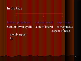 In the faceIn the face
Inferior pulpaberal external nasal sup. LabialInferior pulpaberal external nasal sup. Labial
Skin of lower eyelid skin of lateral skin,mucousSkin of lower eyelid skin of lateral skin,mucous
aspect of noseaspect of nose
memb.,uppermemb.,upper
lip.lip.
4848
 