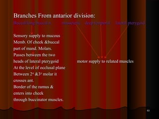 Branches From antarior division:Branches From antarior division:
Buccal/long buccal n. masseteric deep temporal lateral pterygoidBuccal/long buccal n. masseteric deep temporal lateral pterygoid
Sensory supply to mucousSensory supply to mucous
Memb. Of cheek &buccalMemb. Of cheek &buccal
part of mand. Molars.part of mand. Molars.
Passes between the twoPasses between the two
heads of lateral pterygoidheads of lateral pterygoid motor supply to related musclesmotor supply to related muscles
At the level of occlusal planeAt the level of occlusal plane
Between 2Between 2ndnd
&3&3rdrd
molar itmolar it
crosses ant.crosses ant.
Border of the ramus &Border of the ramus &
enters into cheekenters into cheek
through buccinator muscles.through buccinator muscles.
6363
 