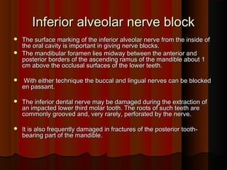 Inferior alveolar nerve blockInferior alveolar nerve block
 The surface marking of the inferior alveolar nerve from the inside ofThe surface marking of the inferior alveolar nerve from the inside of
the oral cavity is important in giving nerve blocks.the oral cavity is important in giving nerve blocks.
 The mandibular foramen lies midway between the anterior andThe mandibular foramen lies midway between the anterior and
posterior borders of the ascending ramus of the mandible about 1posterior borders of the ascending ramus of the mandible about 1
cm above the occlusal surfaces of the lower teeth.cm above the occlusal surfaces of the lower teeth.
 With either technique the buccal and lingual nerves can be blockedWith either technique the buccal and lingual nerves can be blocked
en passant.en passant.
 The inferior dental nerve may be damaged during the extraction ofThe inferior dental nerve may be damaged during the extraction of
an impacted lower third molar tooth. The roots of such teeth arean impacted lower third molar tooth. The roots of such teeth are
commonly grooved and, very rarely, perforated by the nerve.commonly grooved and, very rarely, perforated by the nerve.
 It is also frequently damaged in fractures of the posterior tooth-It is also frequently damaged in fractures of the posterior tooth-
bearing part of the mandible.bearing part of the mandible.
 