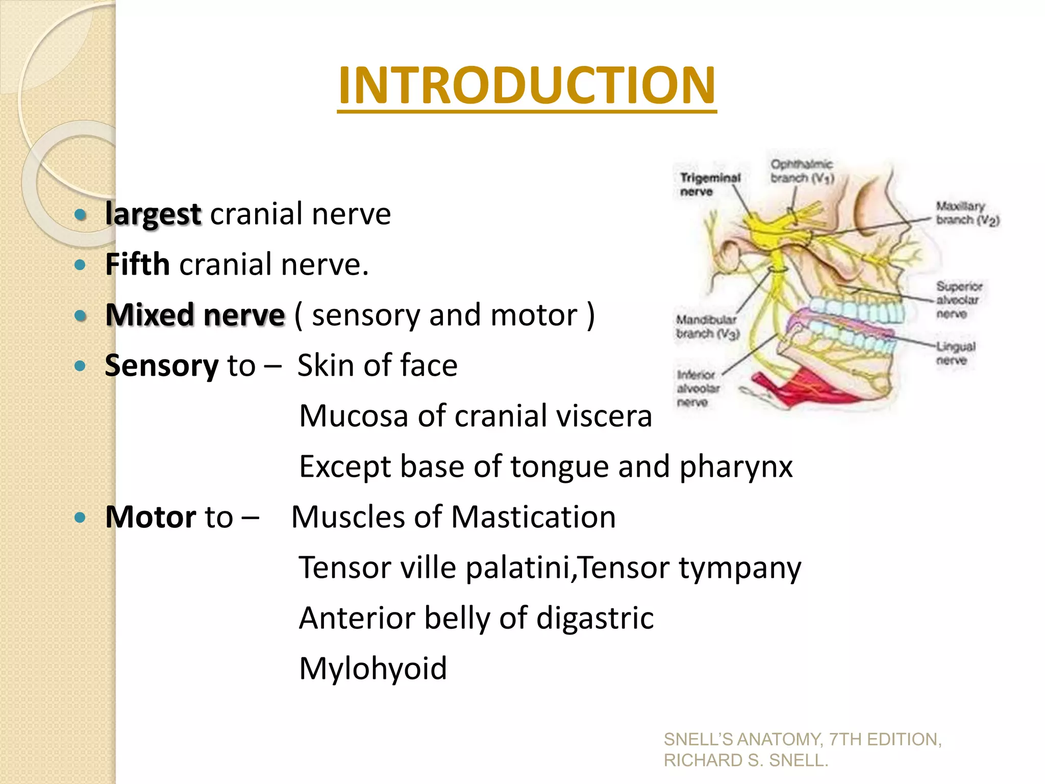 INTRODUCTION
 largest cranial nerve
 Fifth cranial nerve.
 Mixed nerve ( sensory and motor )
 Sensory to – Skin of face
Mucosa of cranial viscera
Except base of tongue and pharynx
 Motor to – Muscles of Mastication
Tensor ville palatini,Tensor tympany
Anterior belly of digastric
Mylohyoid
SNELL’S ANATOMY, 7TH EDITION,
RICHARD S. SNELL.
 