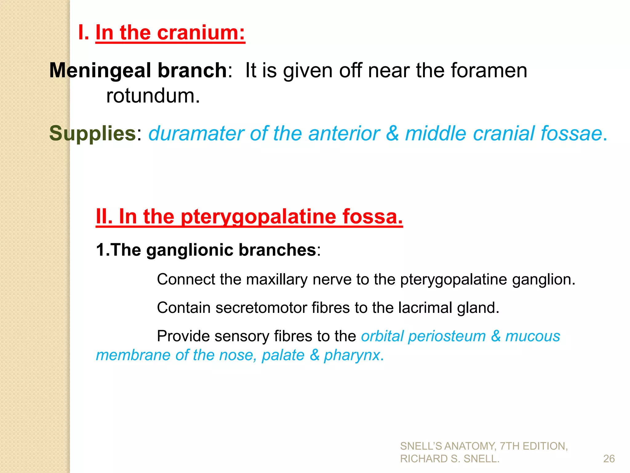 I. In the cranium:
Meningeal branch: It is given off near the foramen
rotundum.
Supplies: duramater of the anterior & middle cranial fossae.
26
SNELL’S ANATOMY, 7TH EDITION,
RICHARD S. SNELL.
II. In the pterygopalatine fossa.
1.The ganglionic branches:
Connect the maxillary nerve to the pterygopalatine ganglion.
Contain secretomotor fibres to the lacrimal gland.
Provide sensory fibres to the orbital periosteum & mucous
membrane of the nose, palate & pharynx.
 