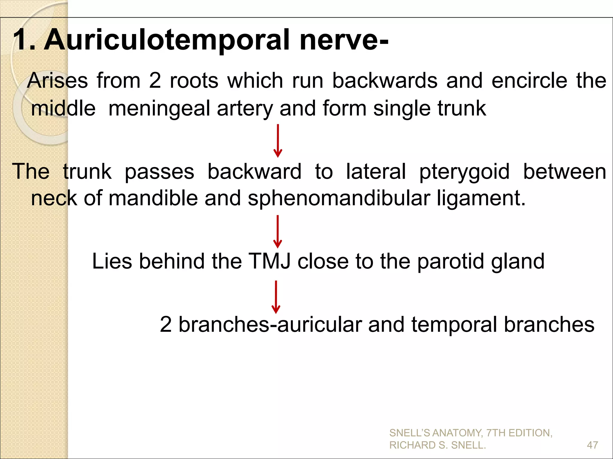 1. Auriculotemporal nerve-
Arises from 2 roots which run backwards and encircle the
middle meningeal artery and form single trunk
The trunk passes backward to lateral pterygoid between
neck of mandible and sphenomandibular ligament.
Lies behind the TMJ close to the parotid gland
2 branches-auricular and temporal branches
47
SNELL’S ANATOMY, 7TH EDITION,
RICHARD S. SNELL.
 