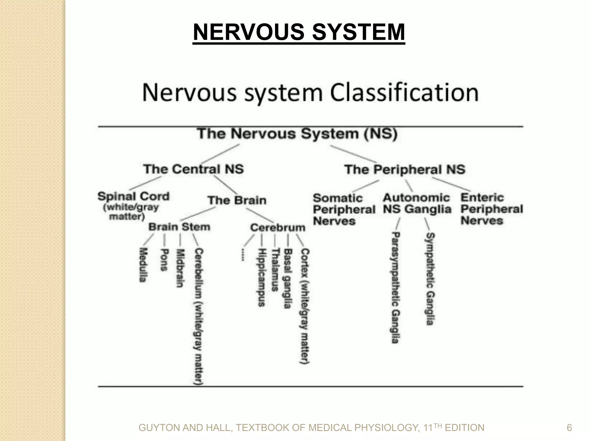 GUYTON AND HALL, TEXTBOOK OF MEDICAL PHYSIOLOGY, 11TH EDITION 6
NERVOUS SYSTEM
 
