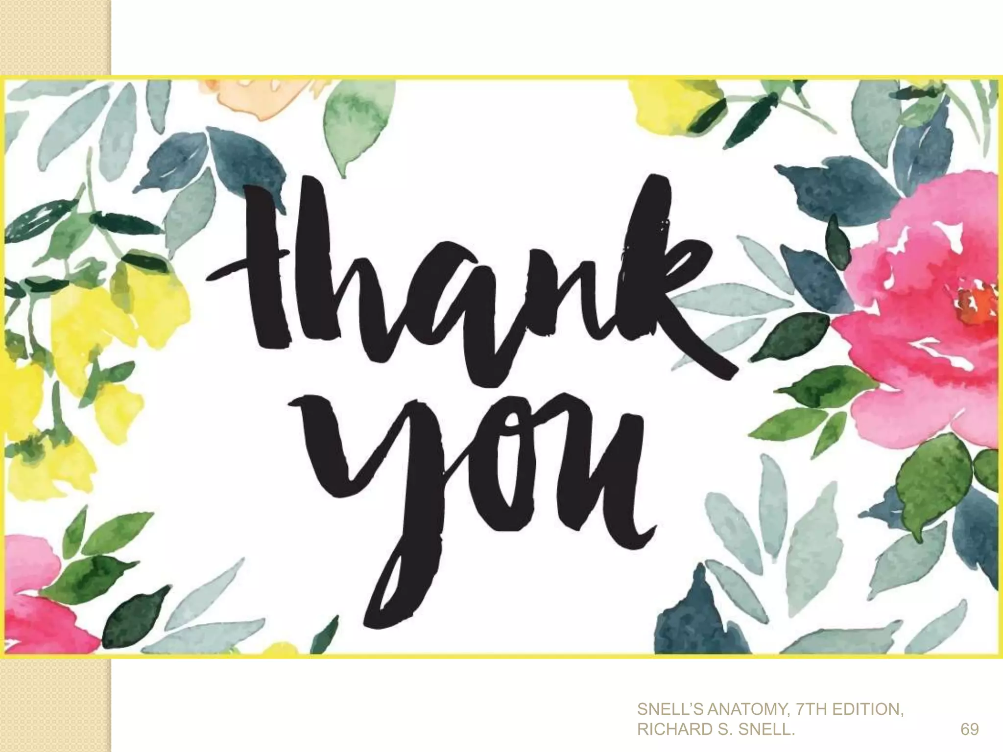 69
SNELL’S ANATOMY, 7TH EDITION,
RICHARD S. SNELL.
 