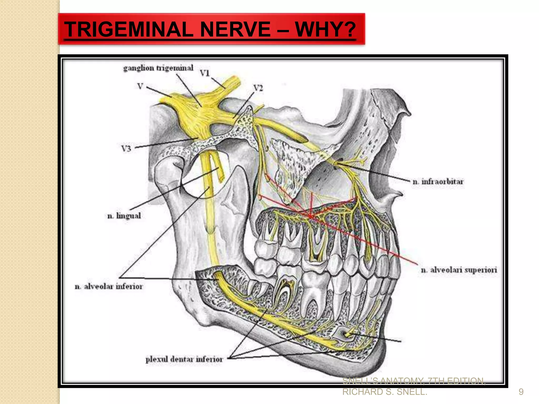 9
TRIGEMINAL NERVE – WHY?
SNELL’S ANATOMY, 7TH EDITION,
RICHARD S. SNELL.
 