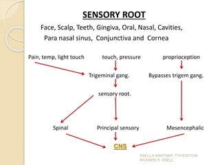 SENSORY ROOT
Face, Scalp, Teeth, Gingiva, Oral, Nasal, Cavities,
Para nasal sinus, Conjunctiva and Cornea
Pain, temp, light touch touch, pressure proprioception
Trigeminal gang. Bypasses trigem gang.
sensory root.
Spinal Principal sensory Mesencephalic
CNS
SNELL’S ANATOMY, 7TH EDITION,
RICHARD S. SNELL.
 