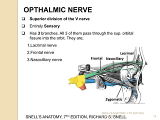 15
OPTHALMIC NERVE
 Superior division of the V nerve
 Entirely Sensory
 Has 3 branches. All 3 of them pass through the sup. orbital
fissure into the orbit. They are;
1.Lacrimal nerve
2.Frontal nerve
3.Nasocilliary nerve
SNELL’S ANATOMY, 7TH EDITION, RICHARD S. SNELL.
SNELL’S ANATOMY, 7TH EDITION,
RICHARD S. SNELL.
 