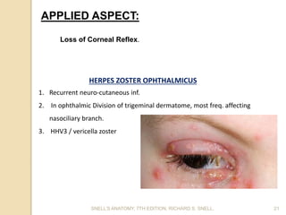 SNELL’S ANATOMY, 7TH EDITION, RICHARD S. SNELL. 21
APPLIED ASPECT:
Loss of Corneal Reflex.
HERPES ZOSTER OPHTHALMICUS
1. Recurrent neuro-cutaneous inf.
2. In ophthalmic Division of trigeminal dermatome, most freq. affecting
nasociliary branch.
3. HHV3 / vericella zoster
 